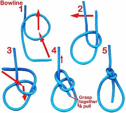 bowline knot